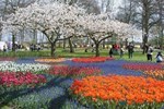 Button to see details and booking options for The Keukenhof Estate: Tulips Galore