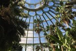 Button to see details and booking options for The Grand Brussels Experience Coach Tour & Visit of the Royal Glasshouses